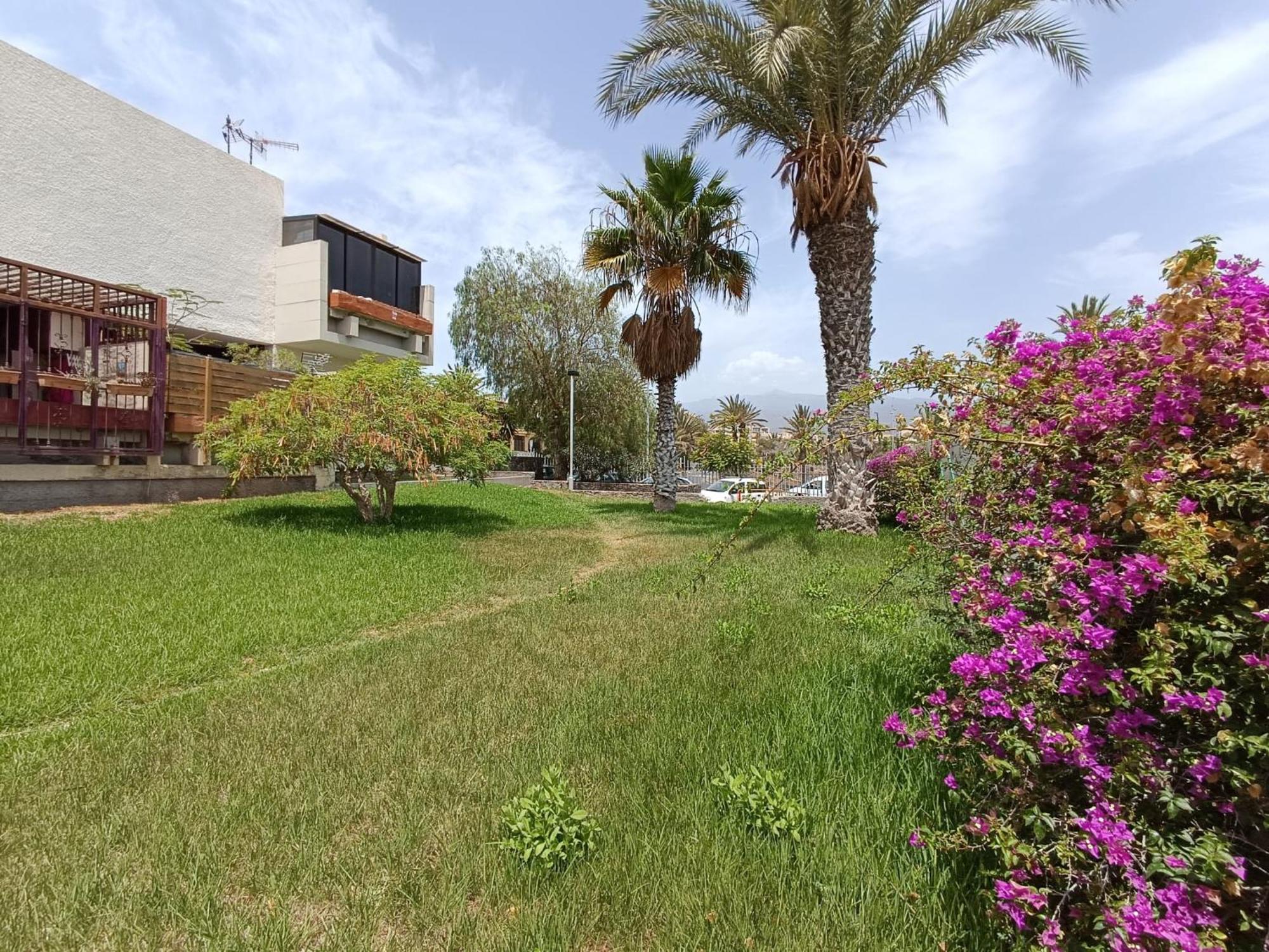 Apartment Tenerife South Coast Costa Del Silencio Exteriér fotografie